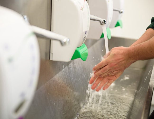 Hand Hygiene and Food Safety. Factory worker washing hands. coronavirus protection